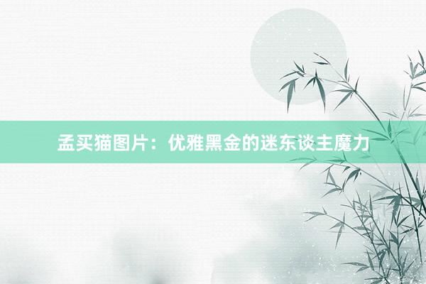 孟买猫图片:优雅黑金的迷东谈主魔力